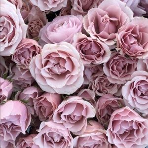 Meet your Posher, Denisha